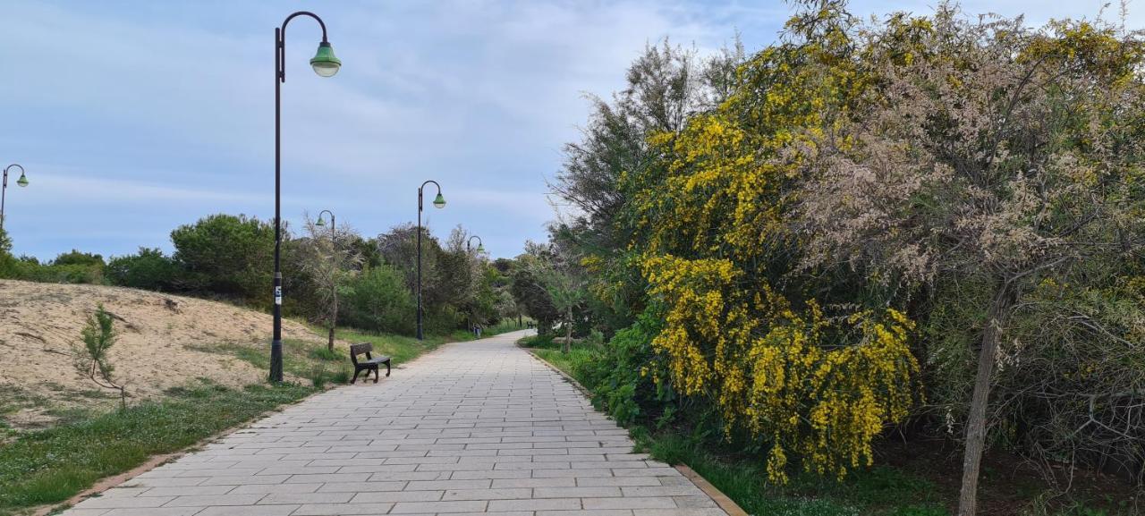 Sofia La Mata Daire La Mata  Dış mekan fotoğraf